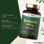 The Best Berberine Supplements for 2023