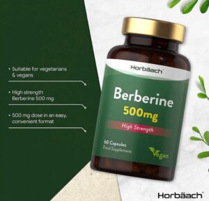 The Best Berberine Supplements for 2023